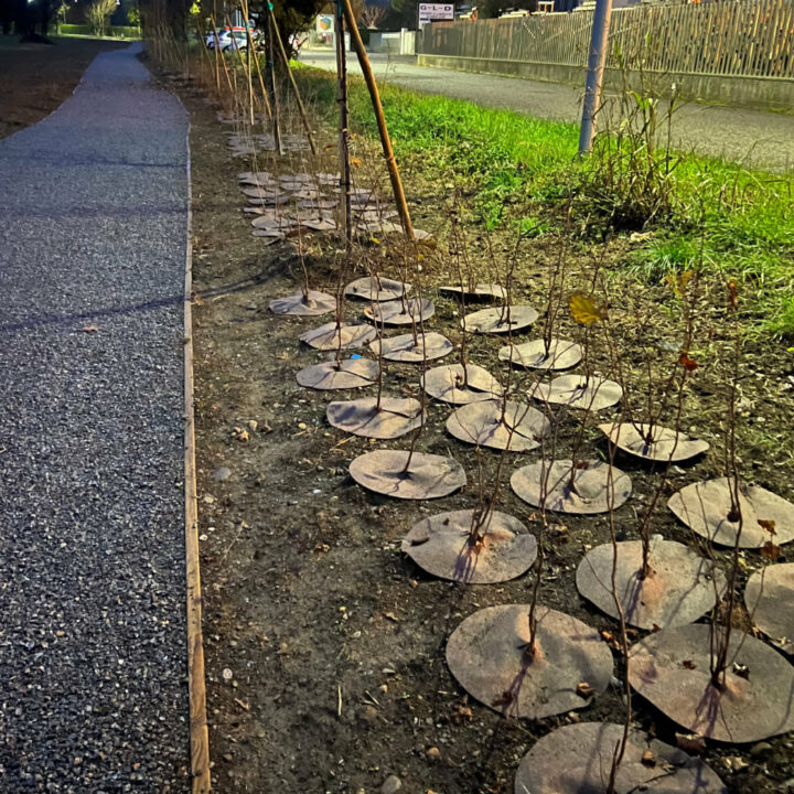 realizzazione pista ciclabile